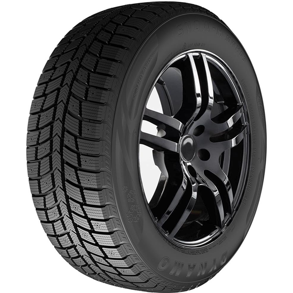 195/55R15 Dynamo Snow-H Mwh03