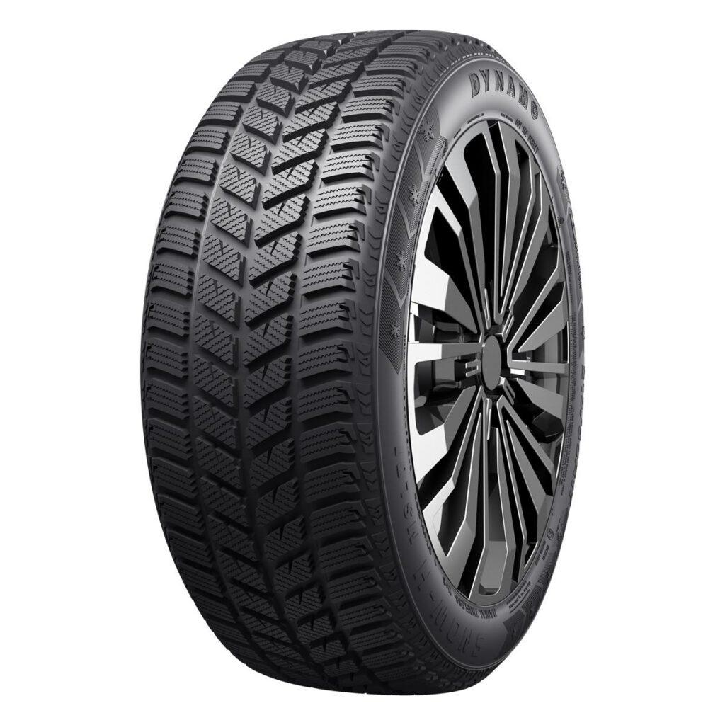 185/65R14 Dynamo Snow-H Msl01