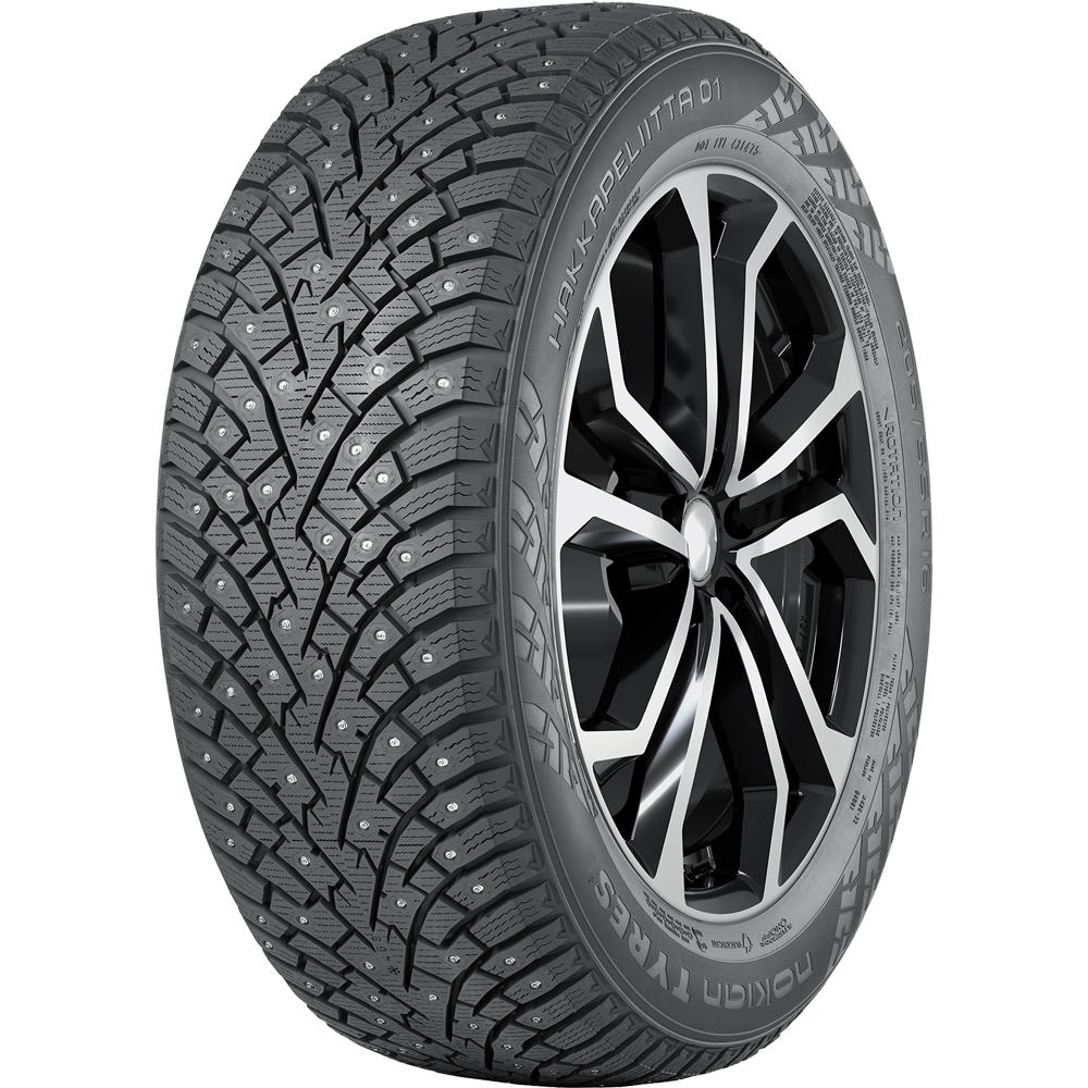 205/55R16 Nokian Hkpl 01